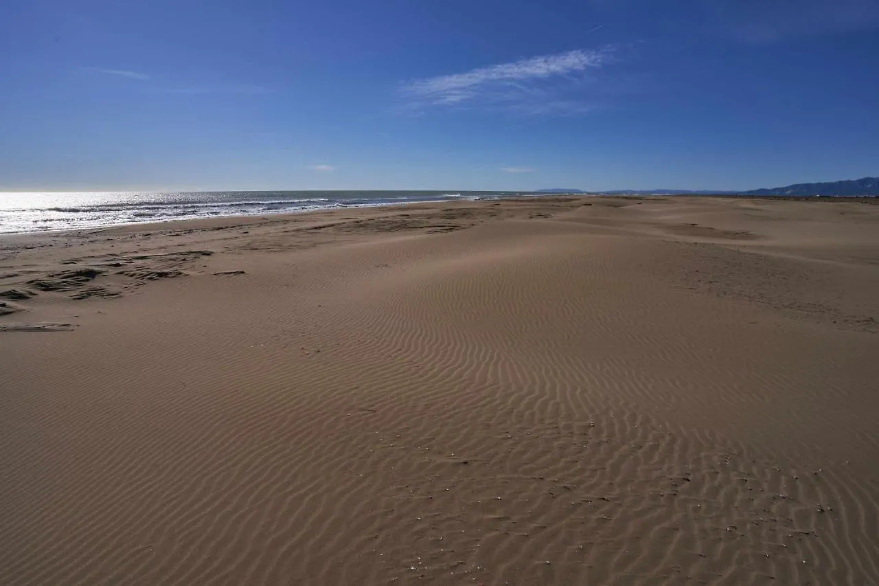 Rincon En La Playa By Rinconesmediterraneos L'Eucaliptus
